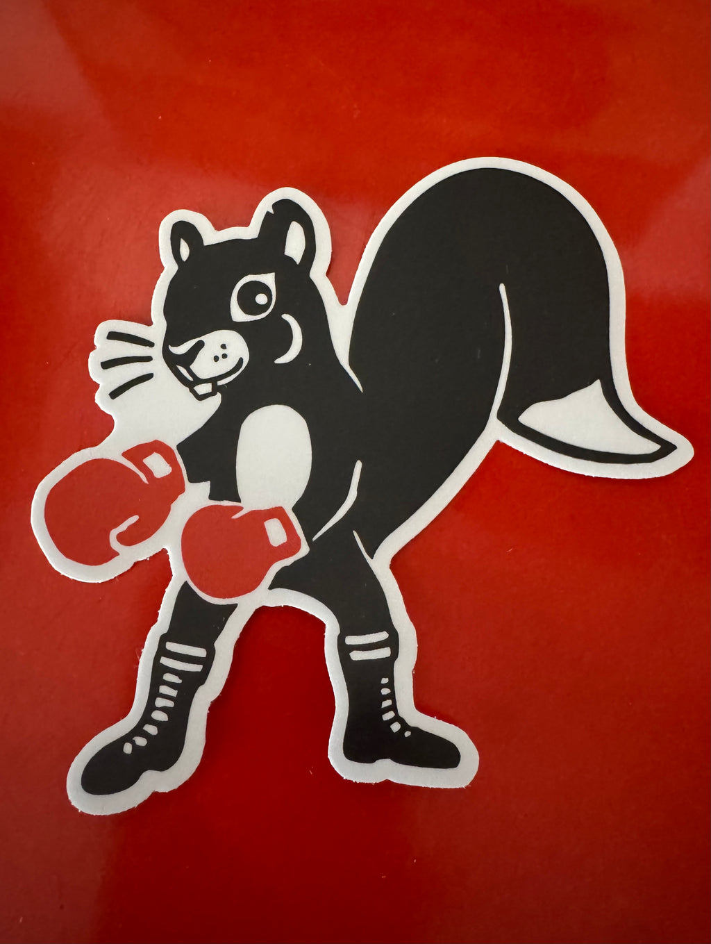 "Fighting Caritis"- PCA squirrel sticker