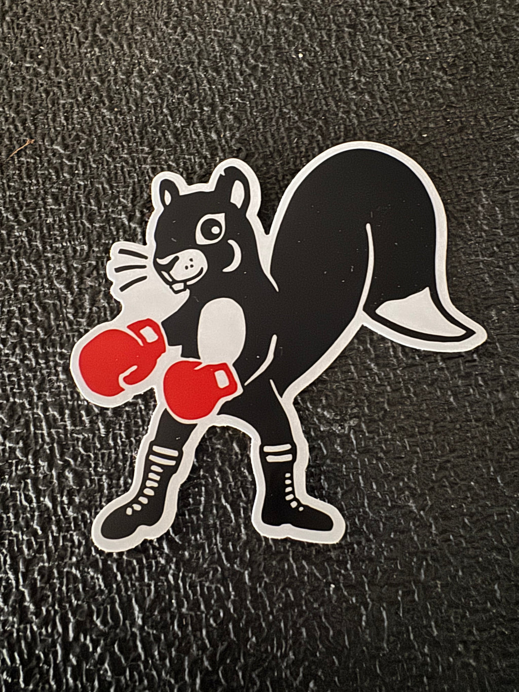"Fighting Caritis"- PCA squirrel sticker