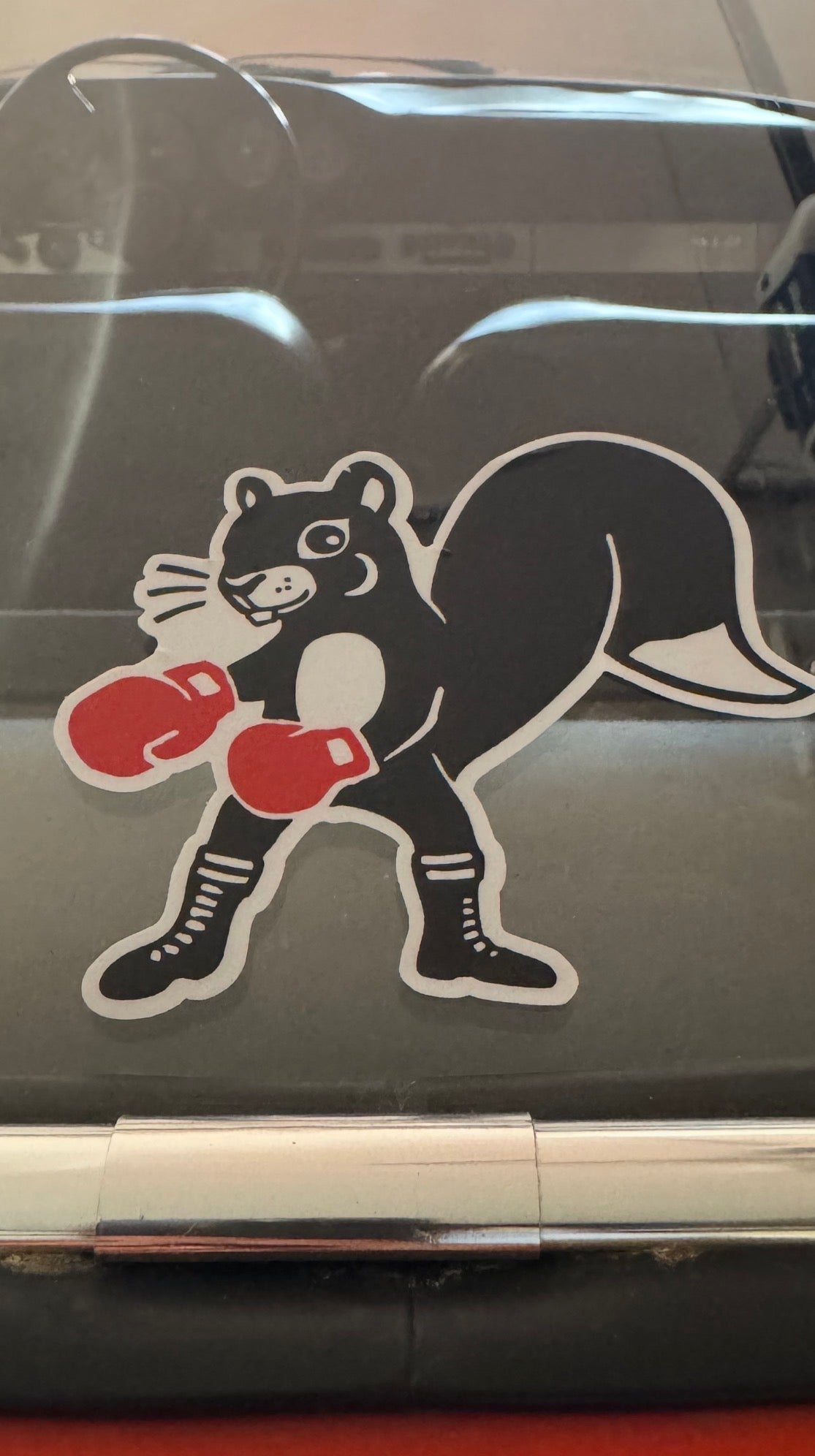 "Fighting Caritis"- PCA squirrel sticker