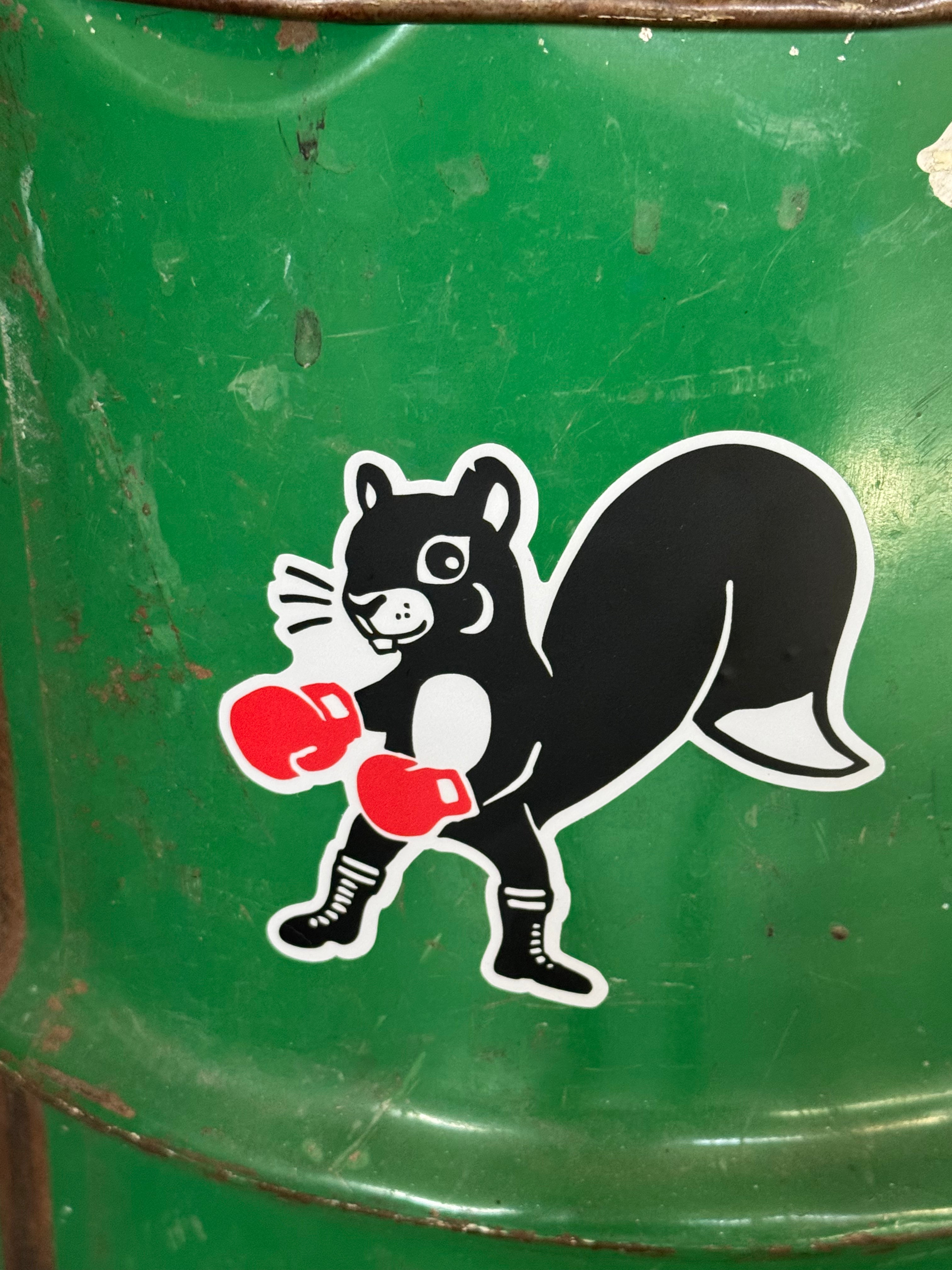"Fighting Caritis"- PCA squirrel sticker